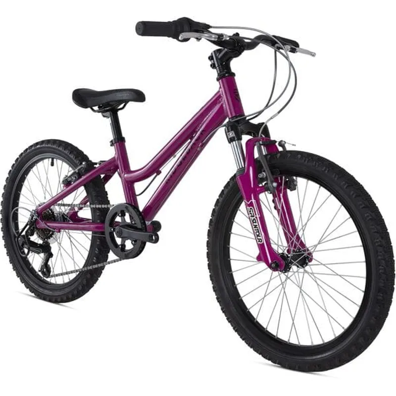 Ridgeback Harmony 20 Kids Bike in Purple-1
